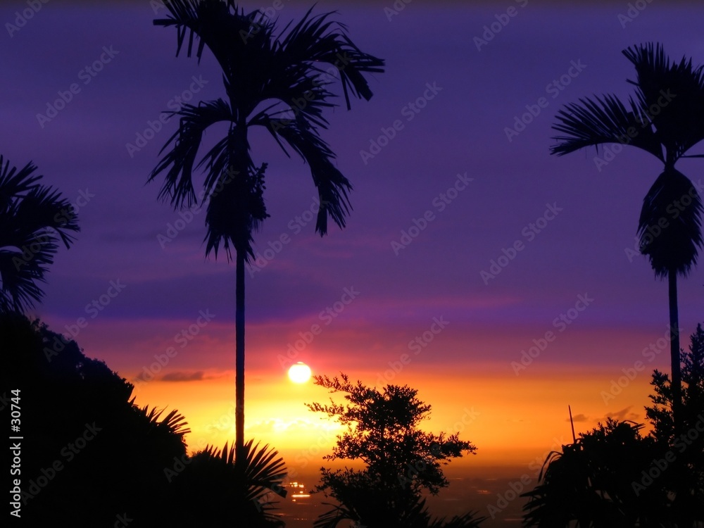 tropical sunset
