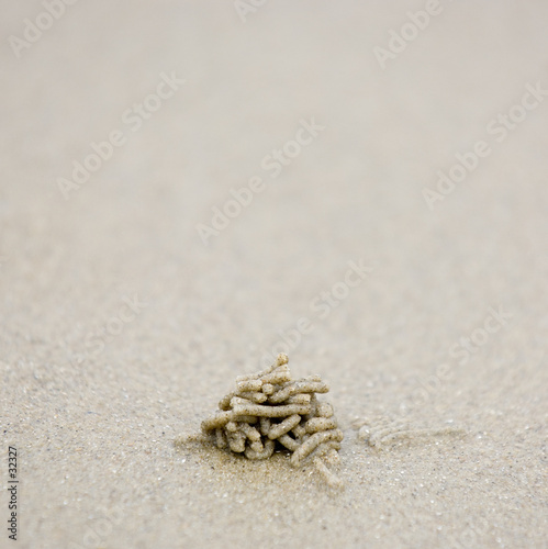 Fényképezés sur la plage