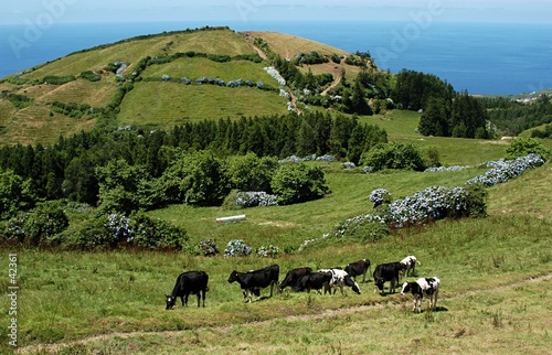 azores-01