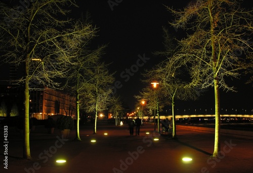 night promenade photo