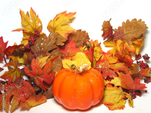 colors of autumn