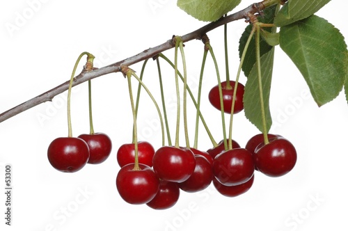 cherries