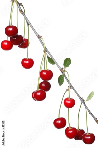 cherries