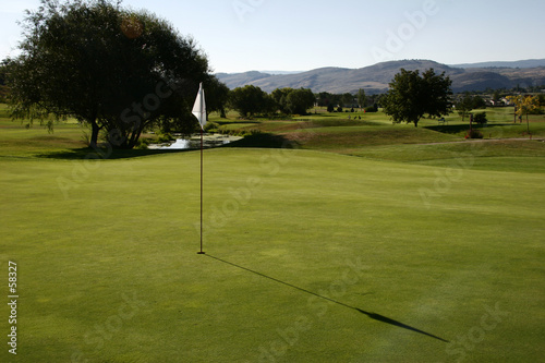 golf green