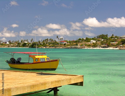 caribbean footbridge