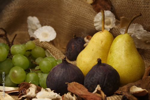 couleurs d'automne
