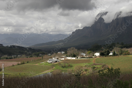 stellenbosch wine farm