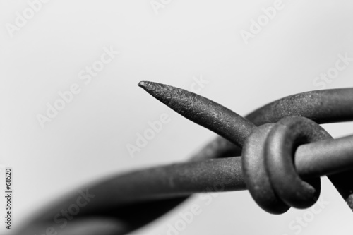barbed wire abstract macro