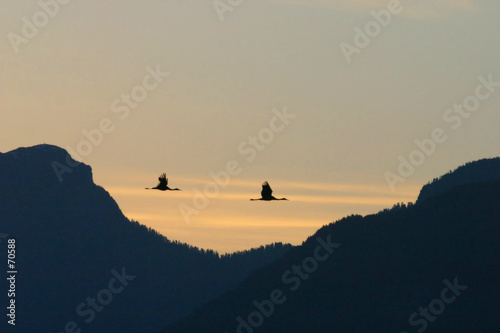 shadows at sunrise