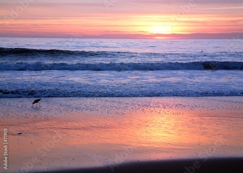shore sunset