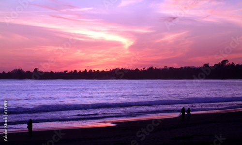 purple haze