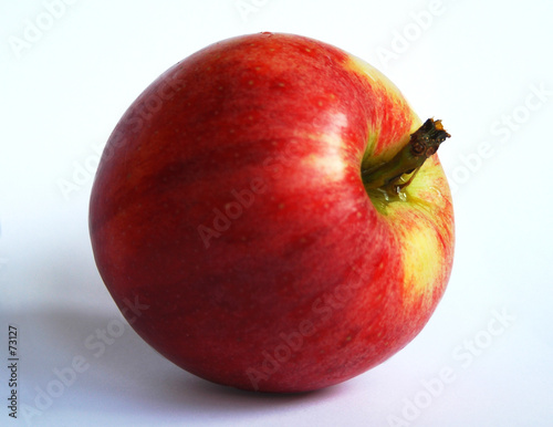 pomme gala à croquer