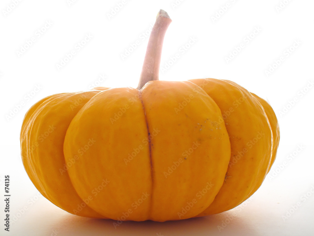 Obraz premium mini pumpkin backlit