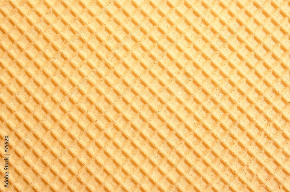 wafer wafer