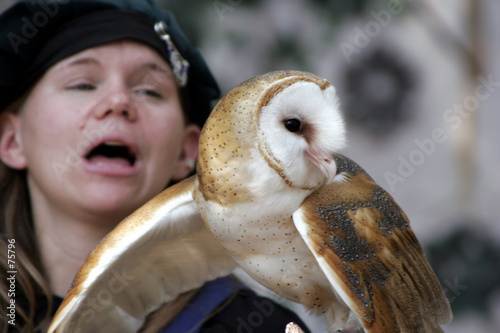 woman holding an american barn owl