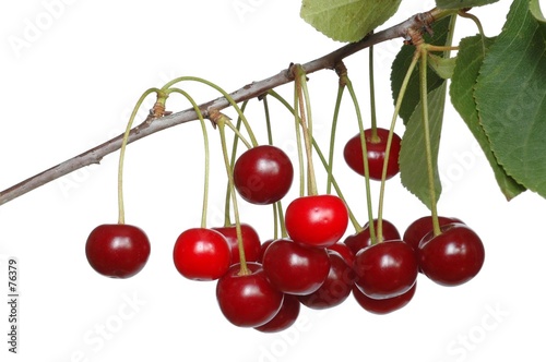 cherries