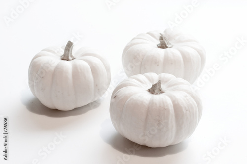 miniature pumpkin