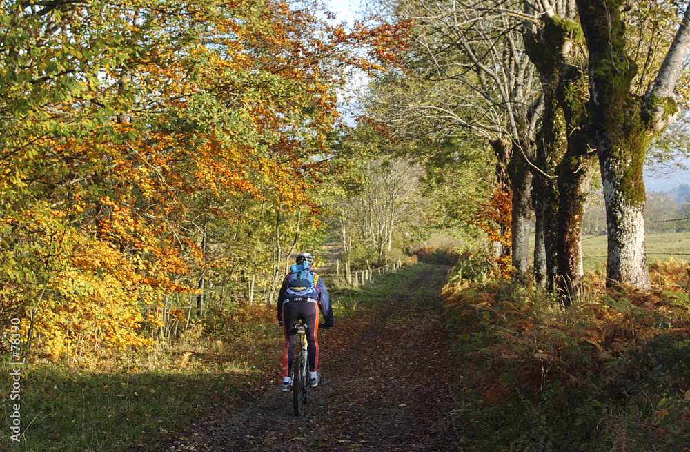balade d'automne balade d'automne