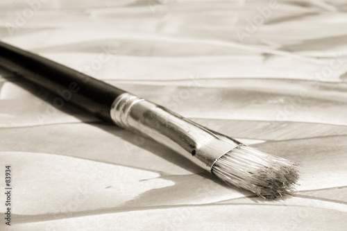 the artist's brush photo