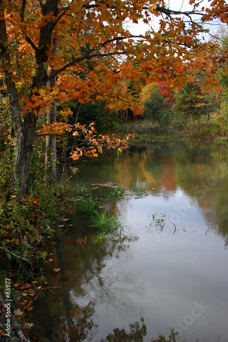 a fall day by the pond