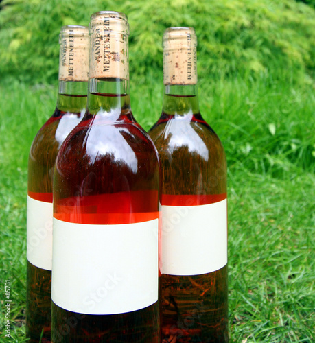 trio of wine bottles photo