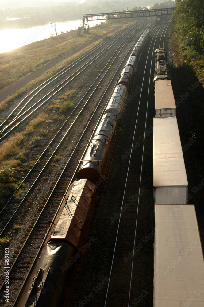 Fototapeta premium trains under bridge