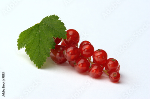 red currant