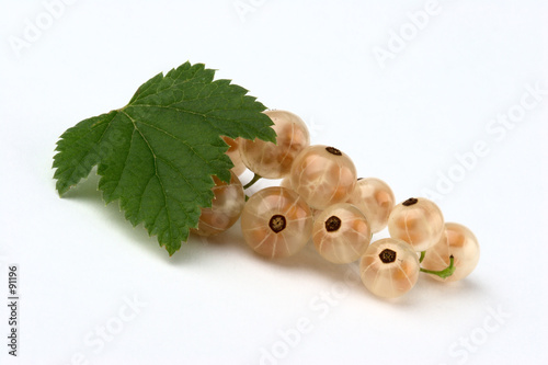 white currant