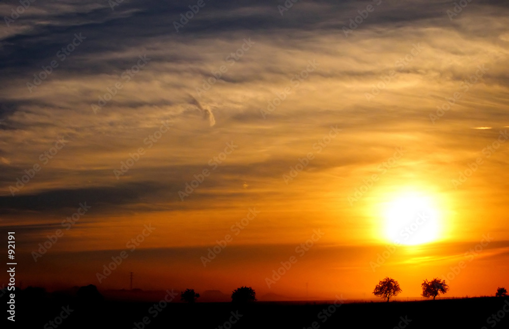 custom made wallpaper toronto digitalsunset