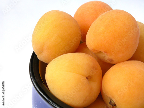 apricots photo