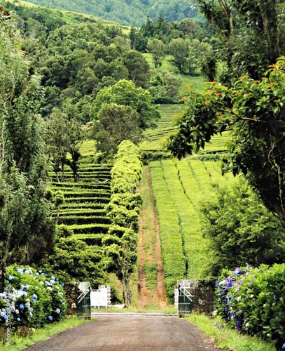 azores