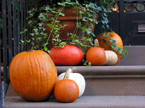 pumpkins