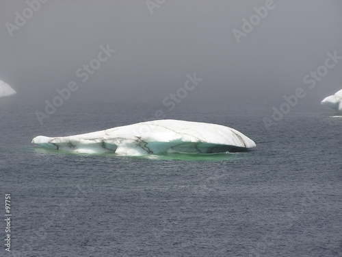 iceberg melting  New Foundland  Canada