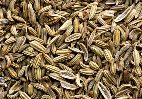 fennel seed background