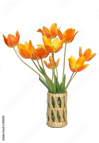 tulips