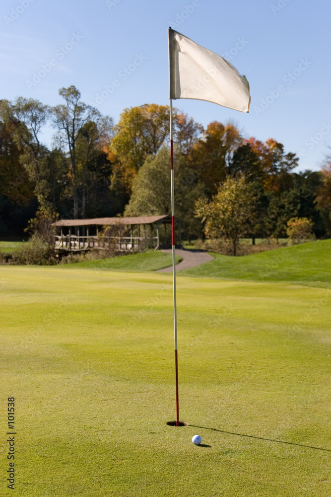 Obraz premium golf flag 02
