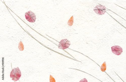 texture series - white paper with flowers