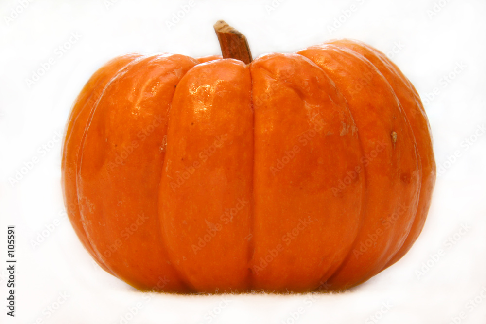 Obraz premium little pumpkin i (isolated)
