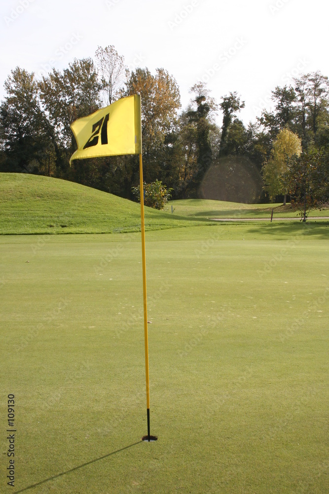 Obraz premium drapeau sur le green