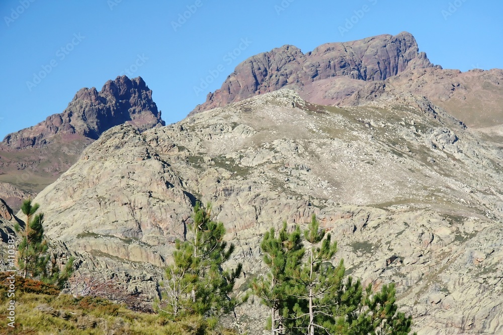 paglia orba paglia orba