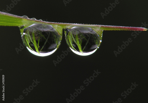 drops © Marek Kosmal