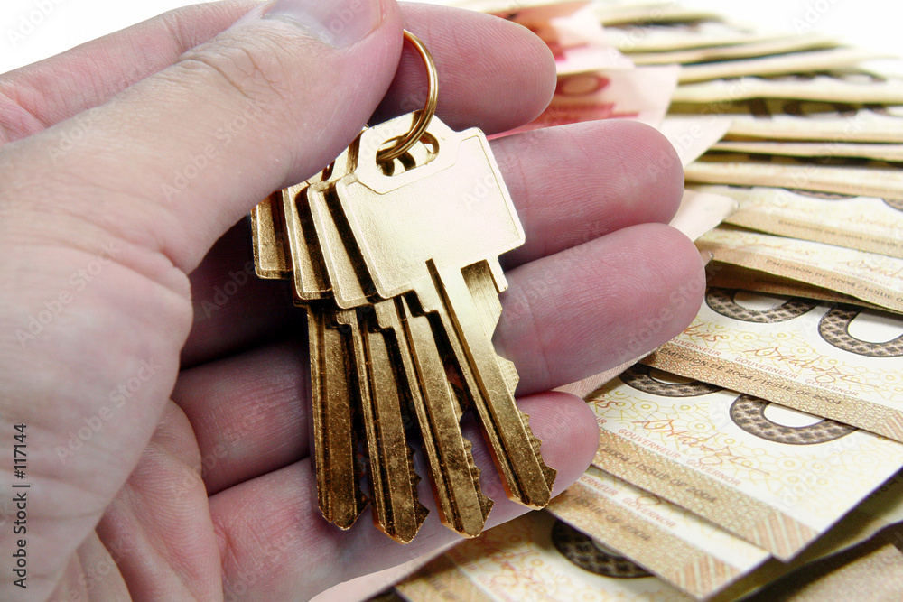 Obraz premium golden key to success, canadian dollar