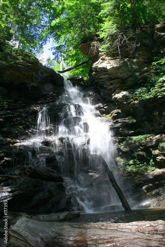 fall in rickets glen park pa   wasserfall