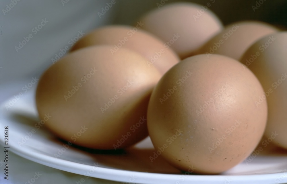 eggs on a plate eggs on a plate