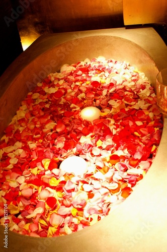 floating rose petals