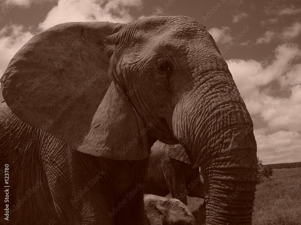 Naklejka premium twinker