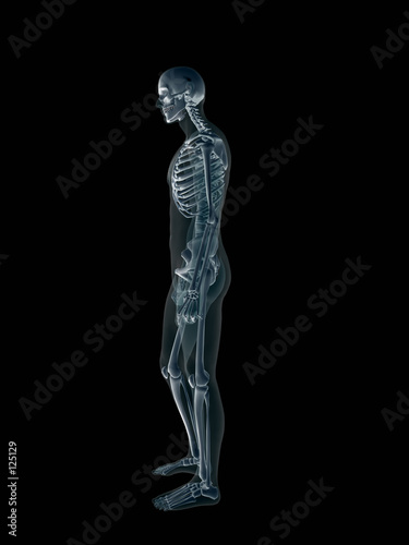 xray, x-ray of the human male body. © Patrick Hermans