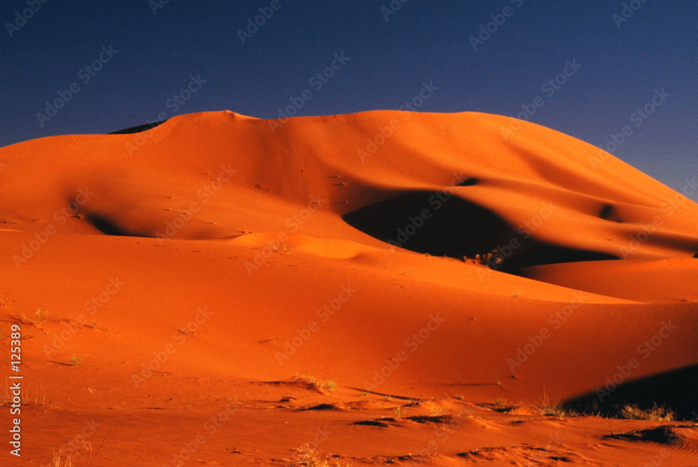 Εκτύπωση καμβά soleil couchant sur les dunes