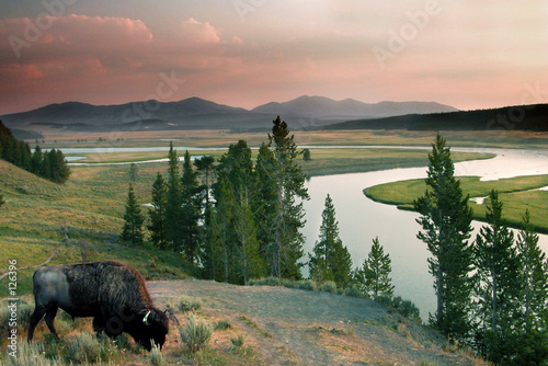 Obraz na plátně yellowstone national park