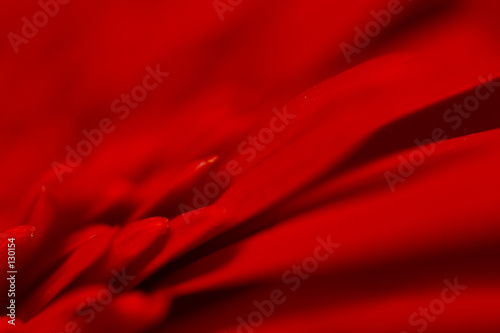 red flower